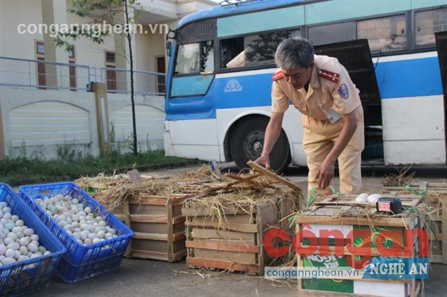 Cảnh sát giao thông Công an thành phố Vinh kiểm tra lô hàng