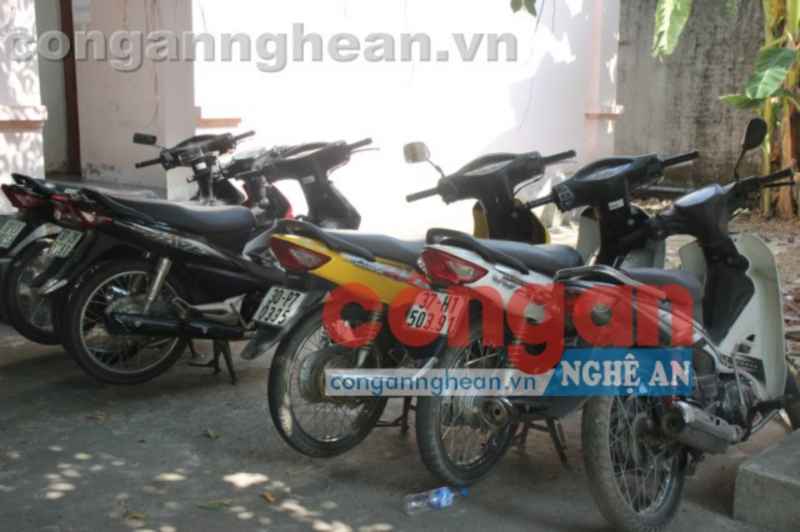 Tang vật thu được trong chuyên án