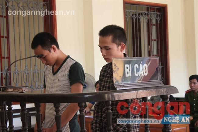 Nguyễn Thủ Hoành và Bạch Sỹ Mạnh            trước vành móng ngựa