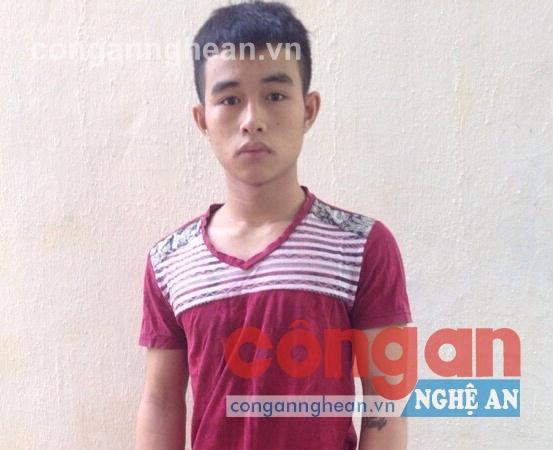 Đối tượng Phạm Hồng Thiên