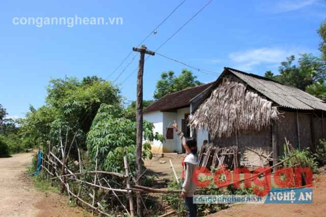 Đường dây điện luồn qua bụi cây không đảm bảo an toàn