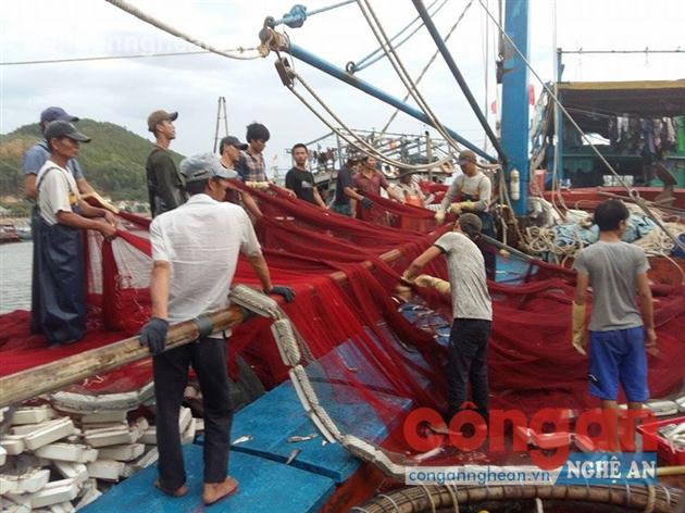 Ngư dân huyện Quỳnh Lưu chuẩn bị phương tiện đánh bắt thủy, hải sản