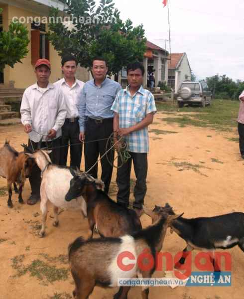 Hàng năm, Sở GTVT trao đàn dê để các hộ gia đình phát triển kinh tế chăn nuôi