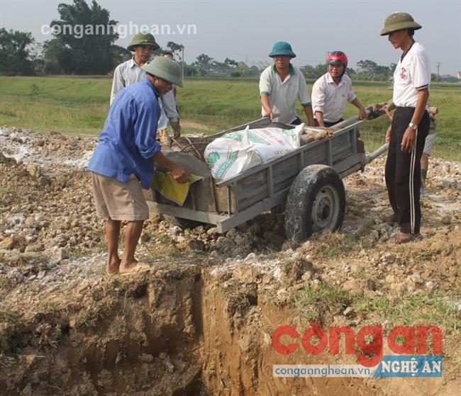 Cơ quan chức năng phối hợp với địa phương tiêu hủy 197 con lợn mắc bệnh tai xanh vào chiều 19/10