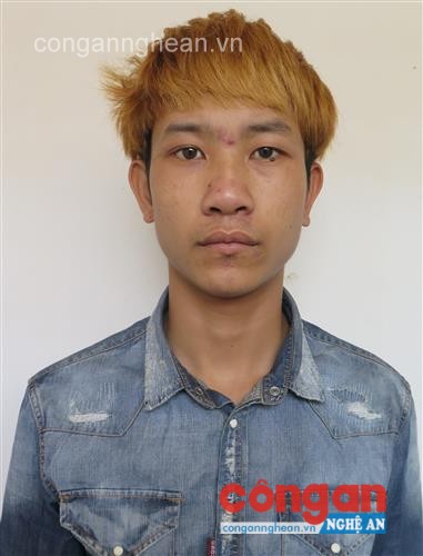 Đối tượng Trần Văn Hùng đang bị tạm giam tại Công an huyện Tân Kỳ
