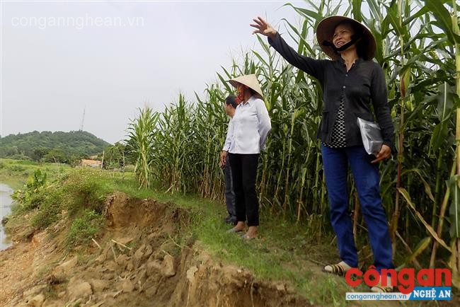 Người dân bản Lè lo lắng trước thực trạng sông “nuốt” đất sản xuất