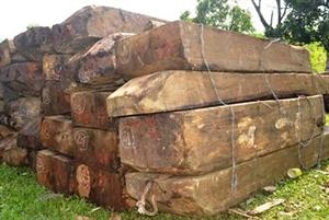Phát hiện 32 khúc gỗ chưa xác định được chủ sở hữu (Ảnh minh họa)