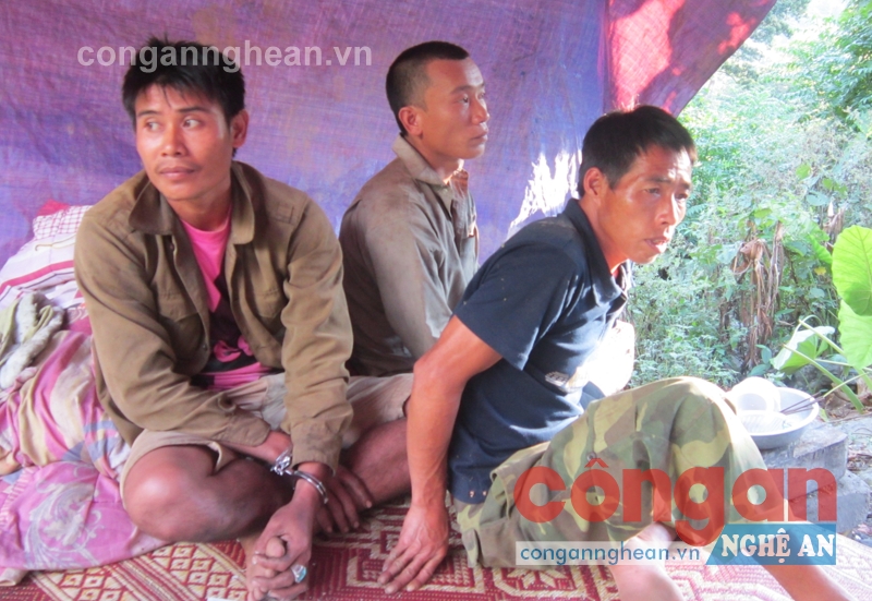 Các đối tượng lâm tặc