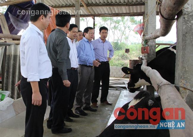 “Dân vận khéo” đã góp phần đưa TX Thái Hoà về đích nông thôn mới            (Trong ảnh: Đồng chí Đinh Viết Hồng, Phó Chủ tịch UBND tỉnh kiểm tra             công tác xây dựng nông thôn mới tại TX Thái Hoà)