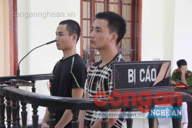 Hai bị cáo trước vành móng ngựa