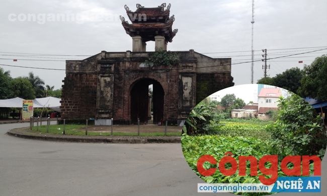 Hệ thống hào xung quanh Thành cổ Vinh lâu nay trở thành ao bèo, nơi xả nước thải sinh hoạt của người dân nên cần sớm được cải tạo