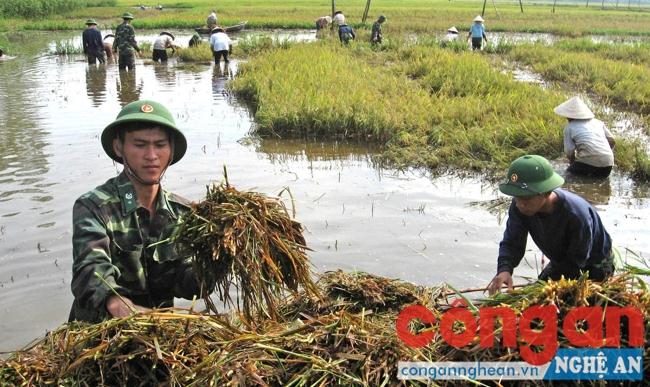 Cán bộ, chiến sỹ QĐNDVN giúp dân khắc phục hậu quả lũ lụt