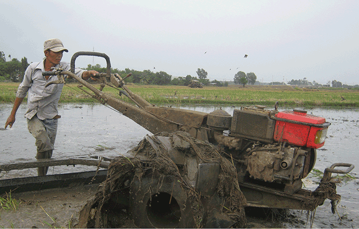 Nông dân thuộc đội 19, tổ hợp tác dùng nước xã Láng Dài (huyện Đất Đỏ) đang cày đất chuẩn bị gieo sạ vụ Đông Xuân 2015-2016.