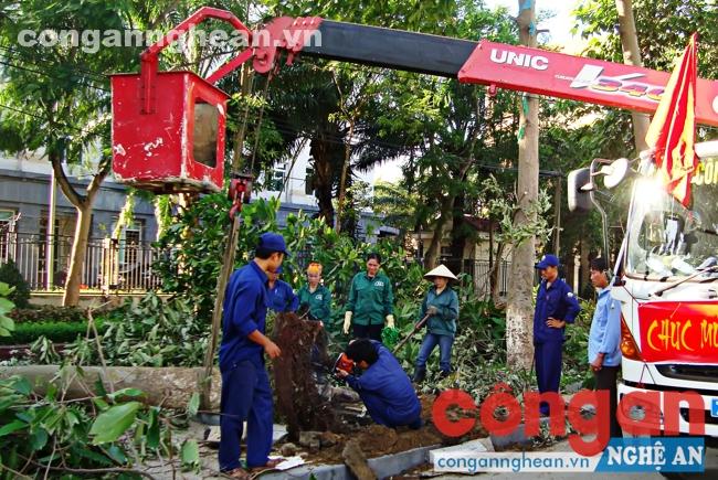 Cán bộ công nhân vệ sinh môi trường cắt tỉa cây, chuẩn bị đón Xuân 2016