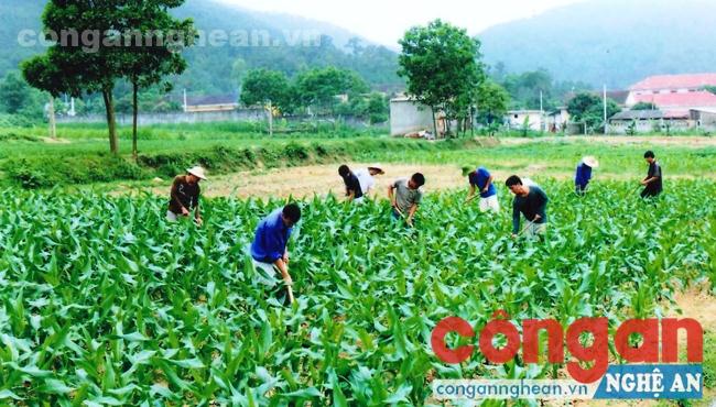 Các học viên lao động tại Trung tâm Giáo dục lao động xã hội tỉnh