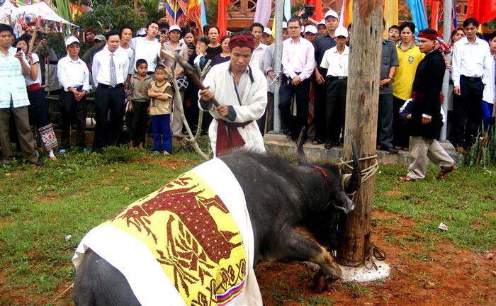 Theo quan điểm của nhiều người, nghi thức chém trâu                                                                 trong lễ hội đền Chín Gian (Quế Phong) không còn phù hợp với xã hội hiện đại và nên loại bỏ