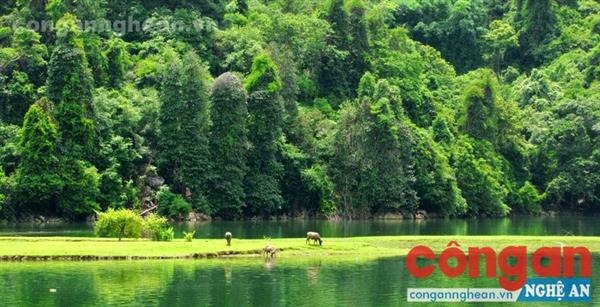 Vườn quốc gia Pù Mát - nơi bảo tồn và phát triển rừng bền vững