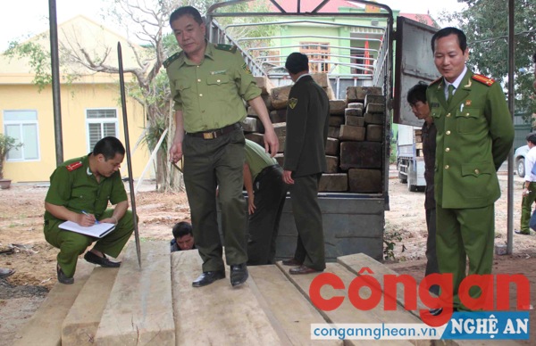  Lực lượng chức năng kiểm tra số gỗ thu giữ