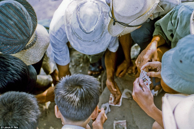 Chơi bài trong giờ nghỉ trưa