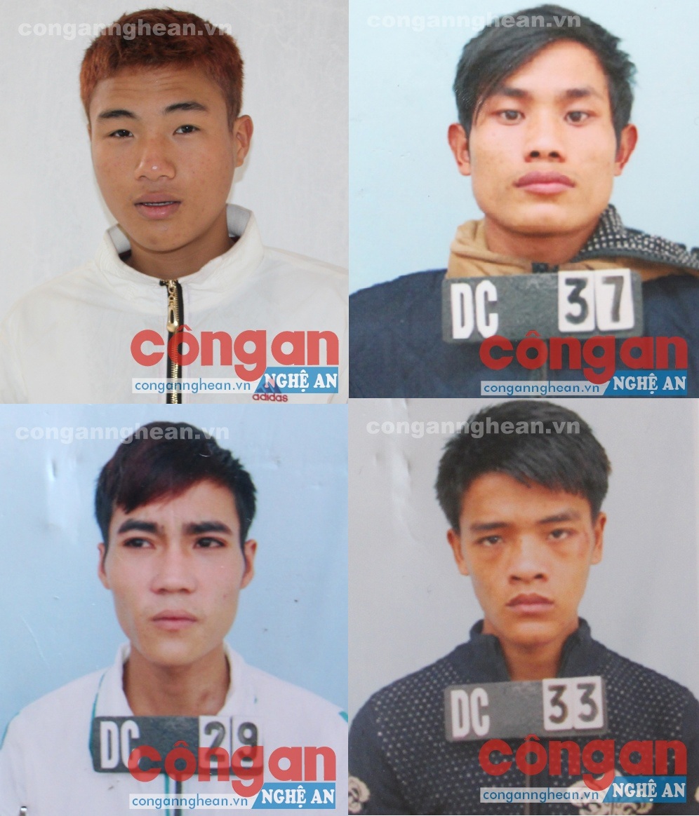  Các đối tượng trong Chuyên án