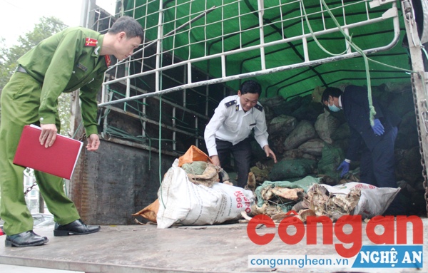 Lực lượng chức năng kiểm tra hơn 6 tấn xương động vật bẩn