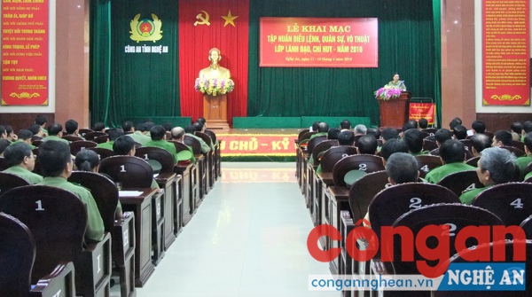 Toàn cảnh lớp tập huấn