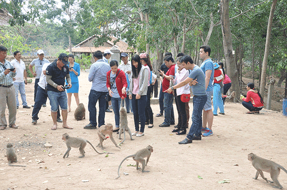 Du khách thích thú chơi đùa với đàn khỉ tại Thiền viện Chân Nguyên (Chùa Khỉ) thị trấn Phước Hải, huyện Đất Đỏ. Ảnh: DIỄM QUỲNH
