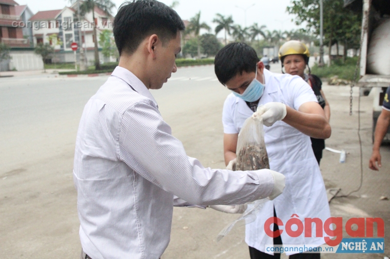 Tiến hành lấy mẫu gửi đi giám định