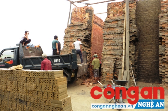 Công nhân vận chuyển gạch lên xe ôtô (Ảnh chụp sáng 14/4/2016 tại lò gạch của ông Cận)