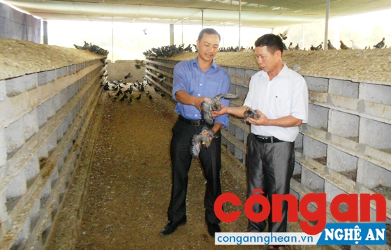 Anh Khanh (trái) giới thiệu về mô hình nuôi bồ câu của gia đình