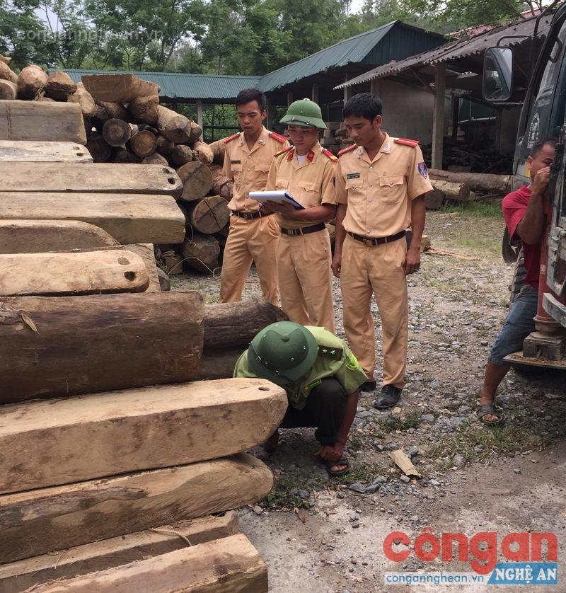 Số gỗ bị lực lượng chức năng thu giứ
