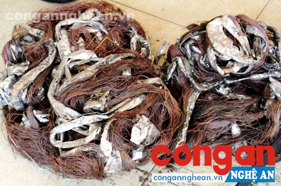 Tang vật trong vụ việc