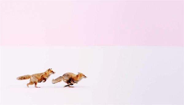 Wherever You Go, I Will Follow You, Japan - Tác giả: Hiroki Inoue