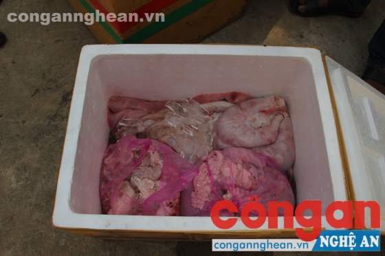 Số nội tạng được đựng trong thùng xốp 