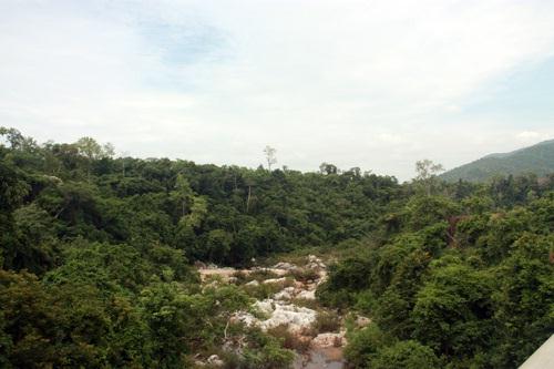 Một góc rừng đặc dụng Krông Trai