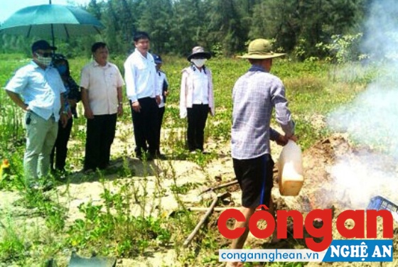 Lực lượng chức năng huyện Diễn Châu tiêu hủy trứng không rõ nguồn gốc