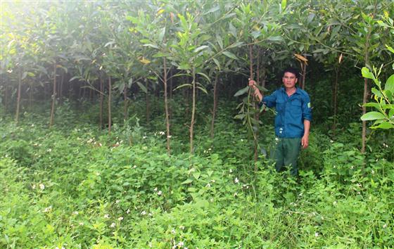 Việc thu hồi đất cấp cho hộ gia đình giúp người dân ổn định đời sống - Ảnh minh họa