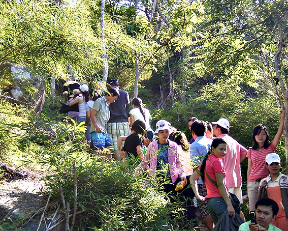 Du khách leo núi trải nghiệm tại Khu rừng nguyên sinh khu bảo tồn thiên nhiên Bình Châu - Phước Bửu.