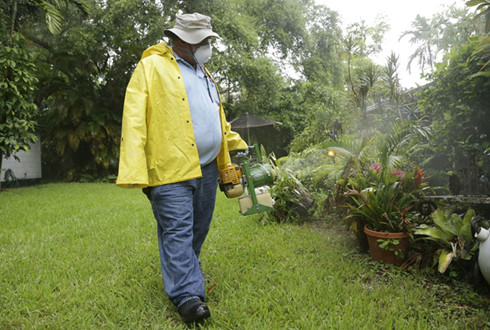 Bang Florida cũng khuyến cáo những phụ nữ sống trong khu vực bị ảnh hưởng bởi virus Zika đang có thai hoặc sắp có thai nên liên hệ với bác sĩ để được giúp đỡ. (ảnh: AP).
