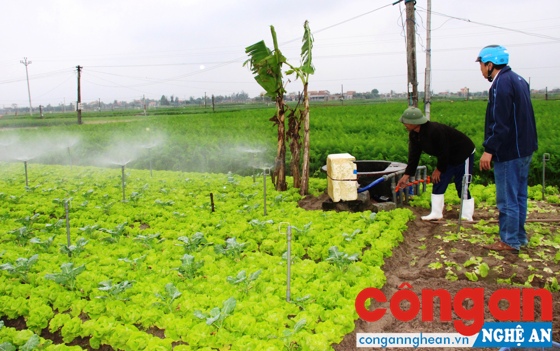 Tham gia BHXHTN giúp nông dân đảm bảo cuộc sống khi về già