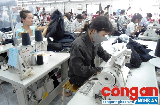 Nữ công nhân tuổi cao rất khó khăn trong việc tìm kiếm việc làm