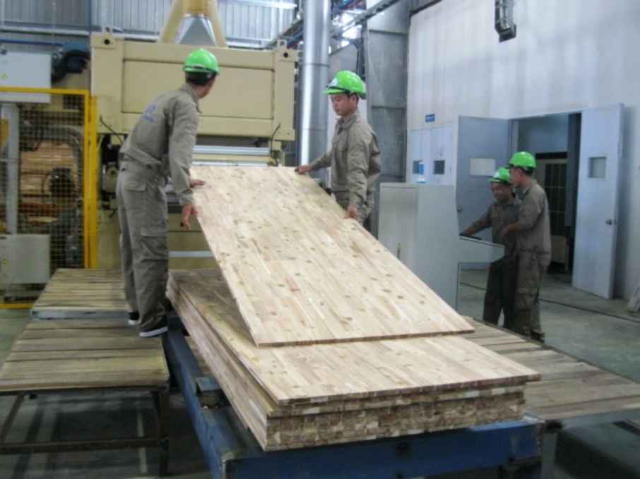 Sản phẩm gỗ tấm