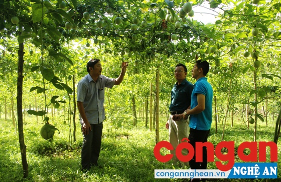 Việc thực hiện hiệu quả chính sách trợ giá về giống là động lực thúc đẩy người dân phát triển sản xuất
