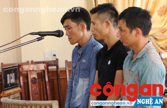 Các bị cáo tại phiên tòa