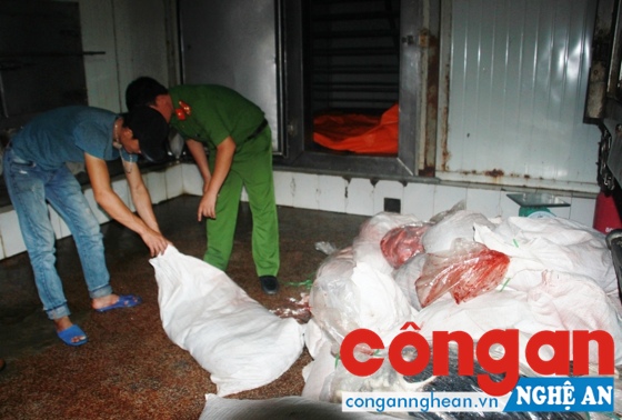 Lực lượng Cảnh sát Môi trường kiểm tra kho đông lạnh chứa nội tạng không rõ nguồn gốc 