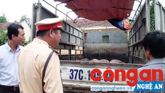 CSGT Công an huyện Nghĩa Đàn kiểm tra phương tiện vận chuyển chở hàng không có nguồn gốc
