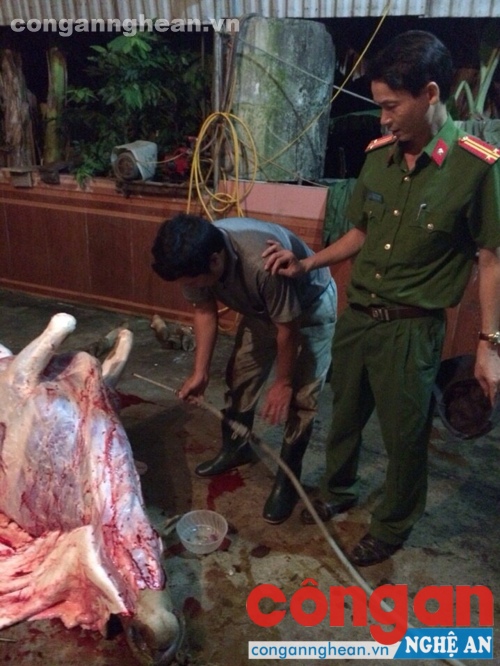 Lực lượng chức năng tiến hành kiểm tra 
