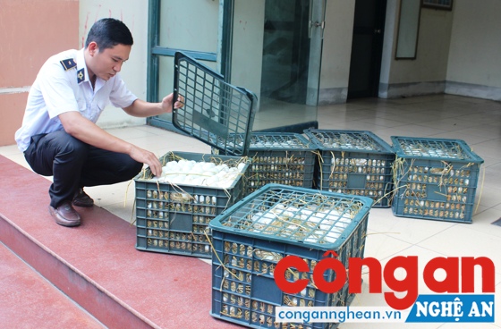 Lực lượng chức năng kiểm tra số hàng bị thu giữ