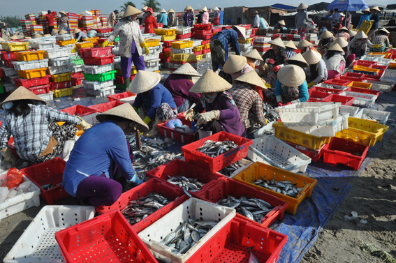 Di dời cảng cá Long Hải: Xóa "điểm đen" về ô nhiễm