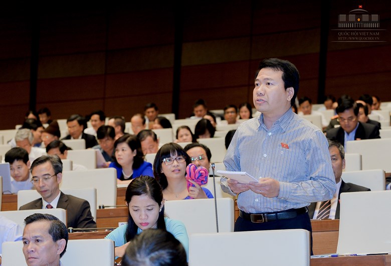 ĐBH Ngô Trung Thành chất vấn Bộ trưởng Bộ Tài nguyên và Môi trường - Ảnh: Đình Nam